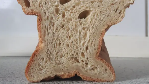¿Por qué mi pan se colapsa o se aplana?